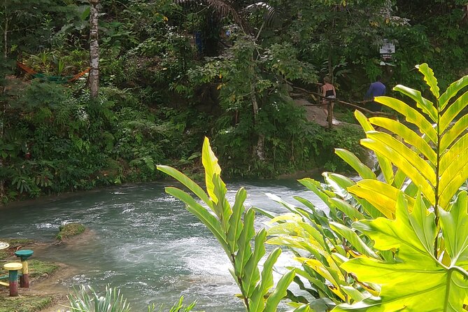 Dunn's River Falls & Blue Hole Tour from Montego Bay - Scotchies Drax Hall Jerk Stop: Eat Local, Pay Separately