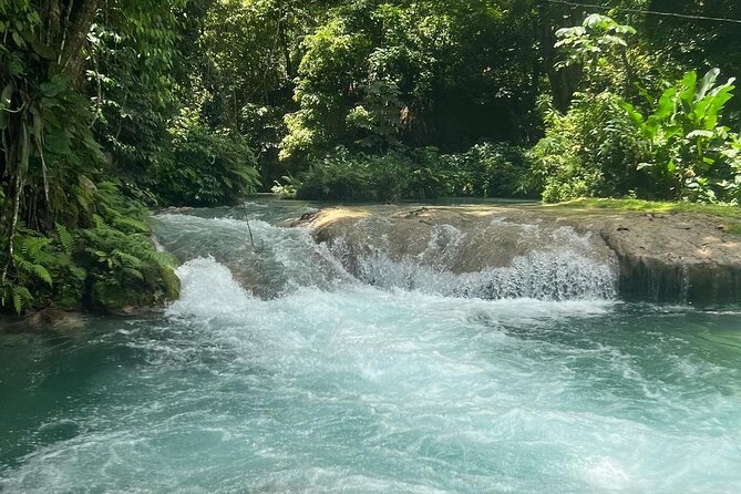 Dunn's River Falls & Blue Hole Tour from Montego Bay - Price and Value: What Your $120 Really Buys