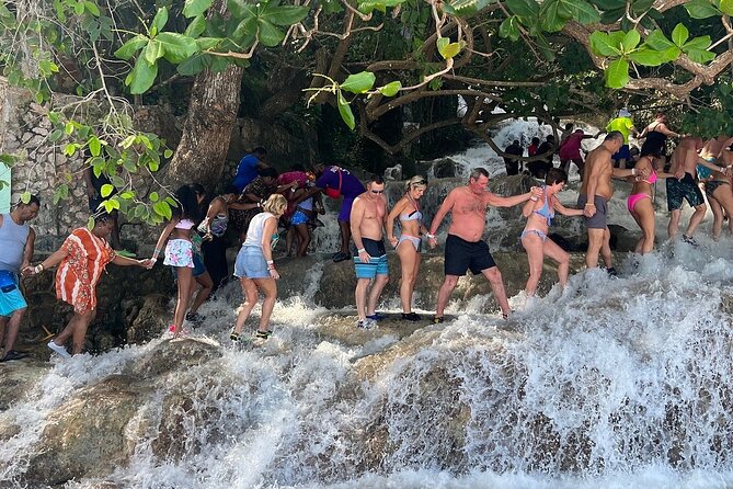 Dunn's River Falls Climb and Beach Include Entry Fee (ᵔᵕᵔ) - Who This Tour Fits Best (and Who Should Rethink It)