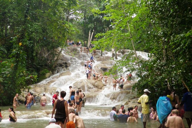 Dunn's River Falls Climb and Beach Include Entry Fee (ᵔᵕᵔ) - The Lagoon Dip and Falls Park: Why This Tour Isn’t Just About the Climb