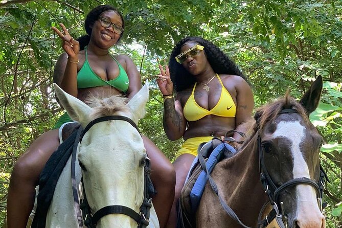Dunn's River Falls Climb, Zipline and Horseback Riding Private Tour - Price and Value: Why $295 Can Actually Make Sense Here