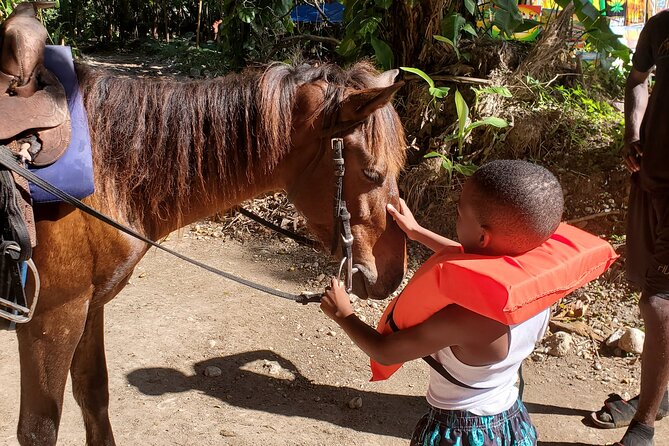 Dunn's River Falls Climb, Zipline and Horseback Riding Private Tour - What to Pack for a Waterfall, Zipline, and Horse Day