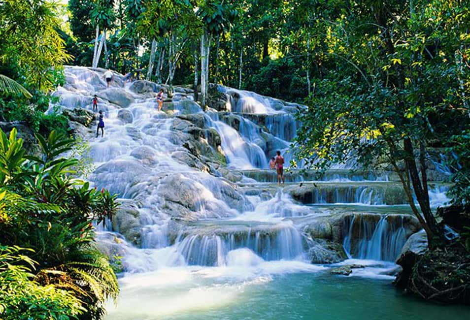 Dunn's River Falls Day Tour - Private Pickup That Actually Makes Ocho Rios Easier
