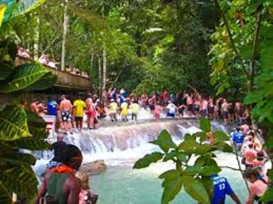 Dunn's River Falls Day Tour - Who This 3-Hour Tour Suits Best