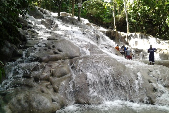 Dunn's River Falls excursion from Montego Bay - The human touch: transport, staff, and the guide name you’ll hear