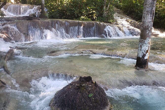 Dunns River Falls Experience from Montego Bay Resorts - Why Dunn’s River Falls is more than a stop on the map