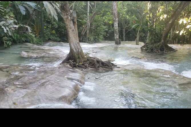 Dunns River Falls Experience from Montego Bay Resorts - The zipline at the park: worth it, or skip for more water time?