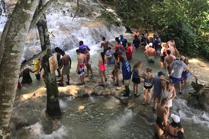 Dunn's River Falls From Montego Bay - Why Dunn’s River Falls from Montego Bay is a smart move