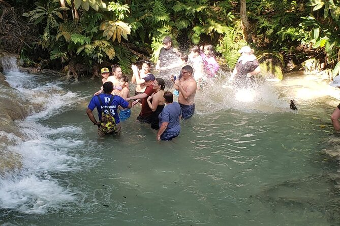 Dunn's River Falls Half Day Tour From Montego Bay - Premier Transfers and Tours: why the service feels worth the money