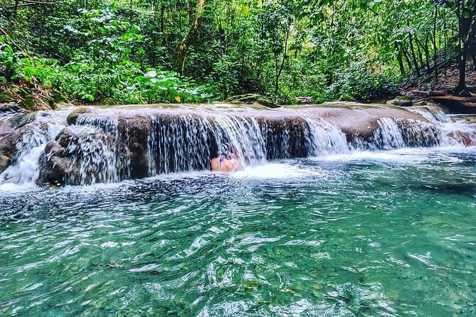 Dunn's River Falls & Luminous Lagoon Guided Tour from Montego Bay - Price and value: what you’re actually paying for