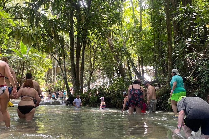 Dunns River Falls Private Day Tour - Why the Private Ride From Montego Bay Is Worth It