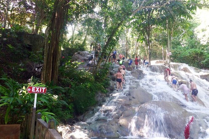 Dunns River Falls Private Day Tour - The Half-Day Flow: Pickup, Falls Time, and Back to Montego Bay