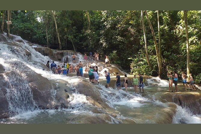 Dunns River Falls Private Day Tour - Guide and Driver: The Team That Makes the Day Run Smooth