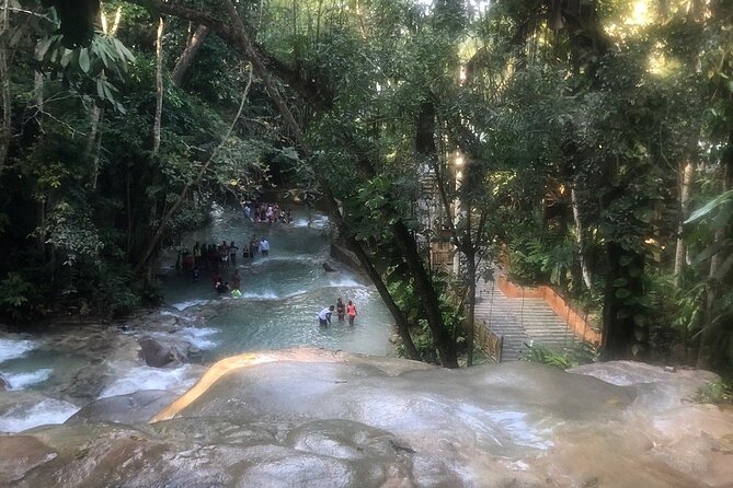 Dunns River Falls Private Day Tour - Price and What You Actually Get for the $110