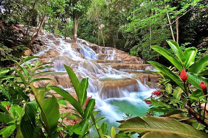 Dunn's river falls, shopping and lunch - Pickup, Drop-Off, and Safety: How the Guides Keep Things Moving