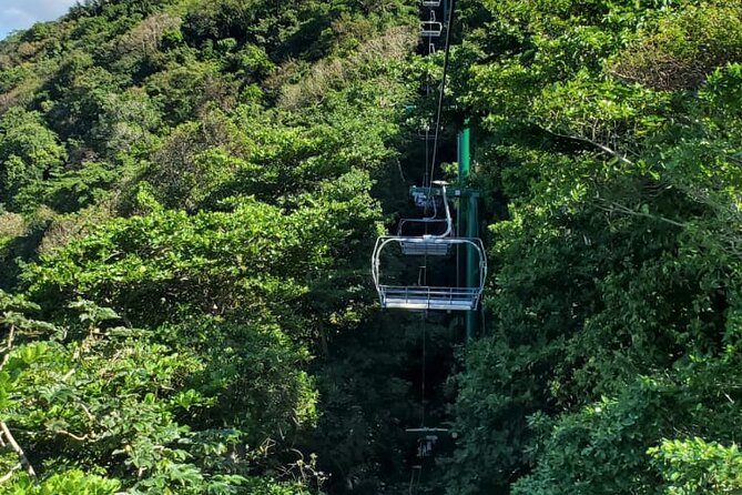 Dunn’s River Falls,Zip lining & horseback riding Combo tour from Montego Bay - Why the Guide Approach Matters (Including Travis)