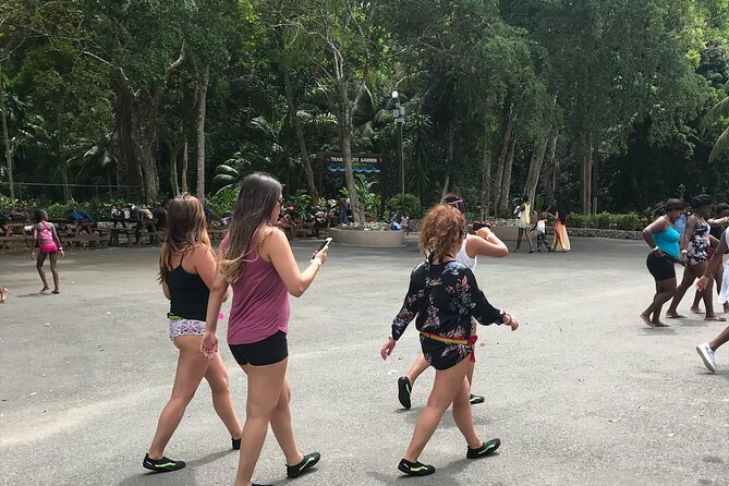 Dunns River Tour - Dunn’s River Falls from Montego Bay: less logistics, more water time