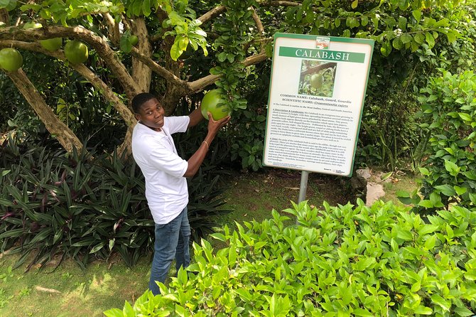 Explore Montego Bay Jamaica Private Tour to Green Gratto Cave - Rio Bueno Look Out: a quick stop that helps you orient