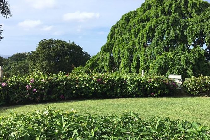 Explore Montego Bay Jamaica Rose Hall Great House Day/Night Tour - The Rose Hall Great House night tour: what you’re signing up for