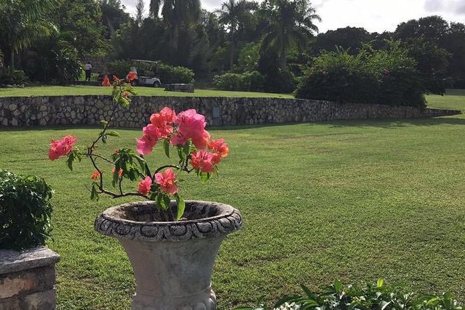 Explore Montego Bay Jamaica Rose Hall Great House Day/Night Tour - Who this Rose Hall night tour fits best