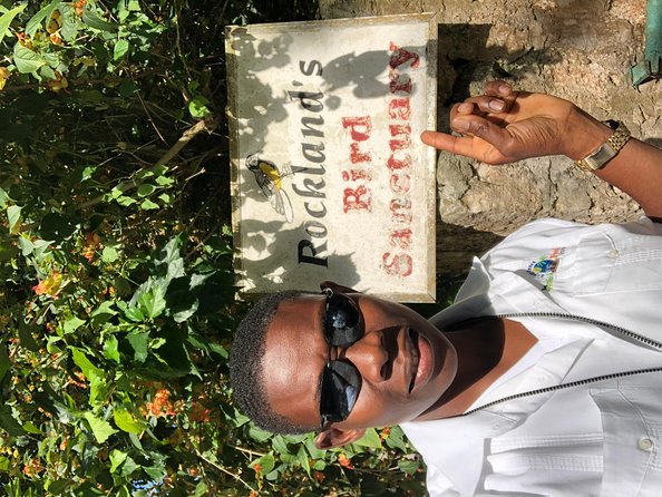 Explore Montego Bay Private Highlight Tour from Montego Bay - Price and Value: When $70.52 Per Person Makes Sense