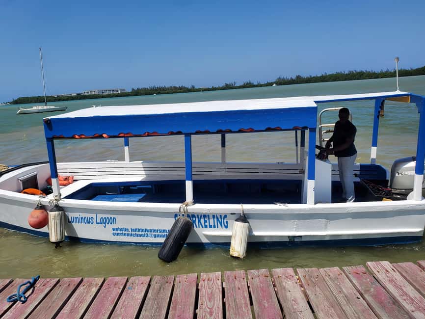 Falmouth: Luminous Lagoon Boat Tour - The Glow Swim: Where Your Movements Create Light