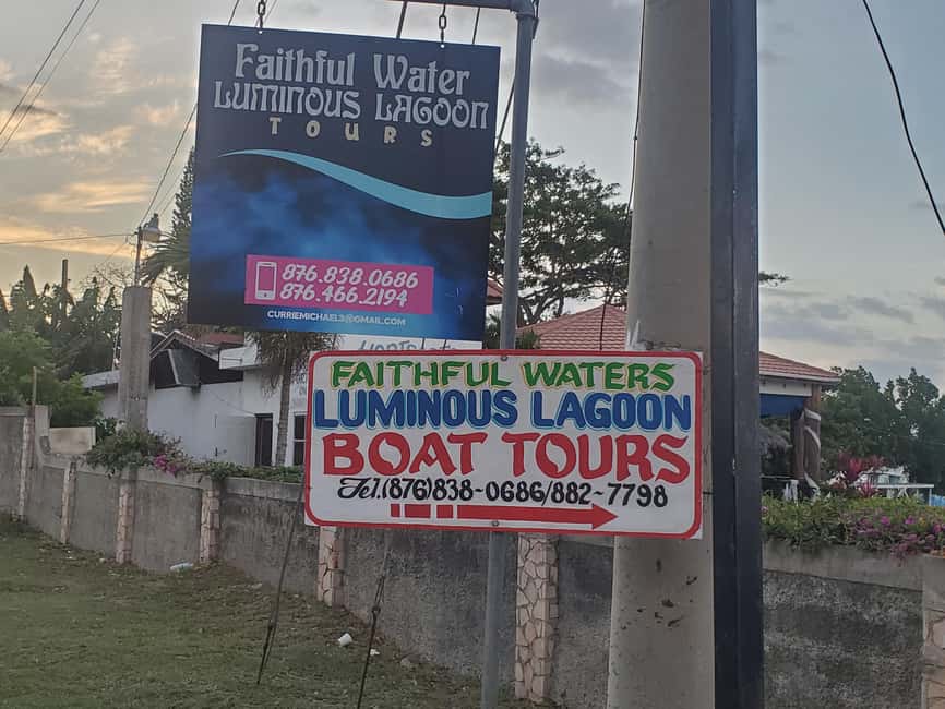Falmouth: Luminous Lagoon Boat Tour - Price and Value: Why $25 Can Be a Sweet Deal Here