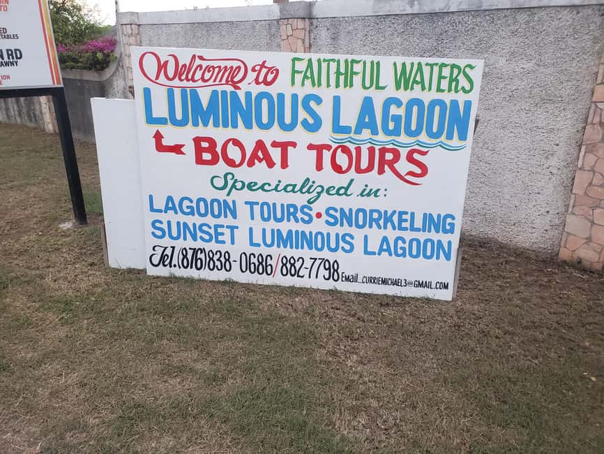 Falmouth: Luminous Lagoon Boat Tour - Who This Tour Fits Best (And Who Should Rethink It)