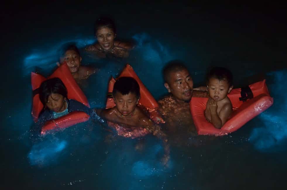Falmouth: Luminous Lagoon Boat Tour - Practical Tips So You Don’t Lose the Best Moments