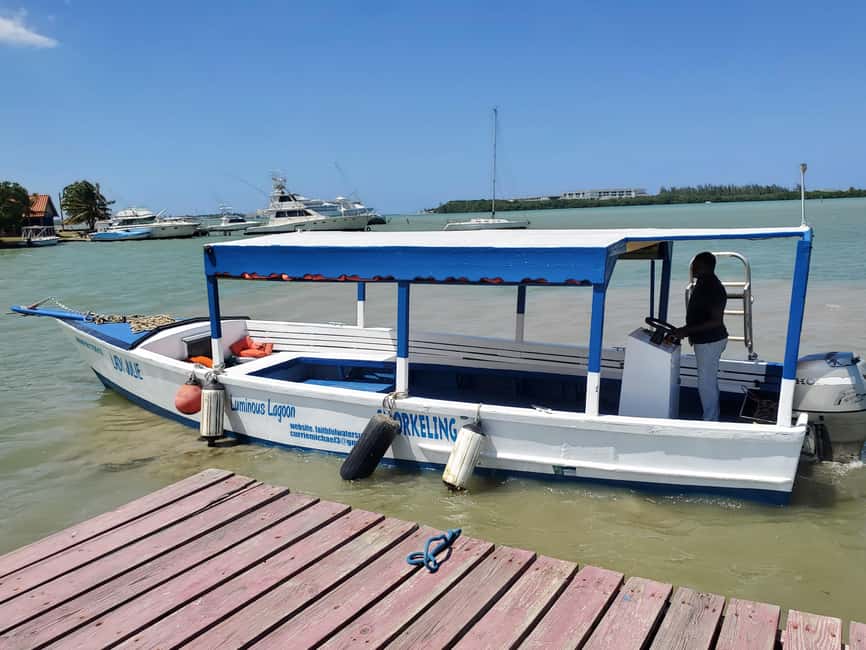 Falmouth: Luminous Lagoon Boat Tour - Should You Book the Falmouth Luminous Lagoon Boat Tour?