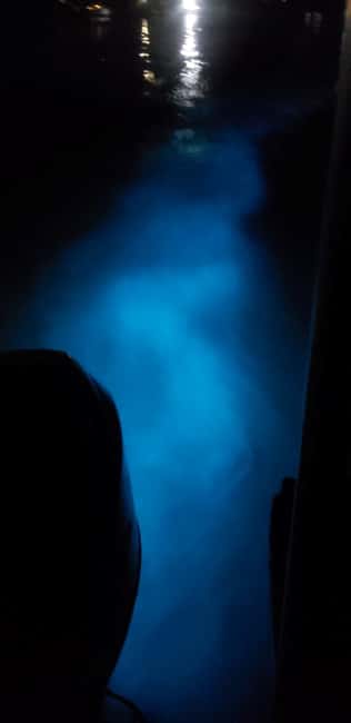 Falmouth: Luminous Lagoon Night Experience - Key points worth knowing before you go