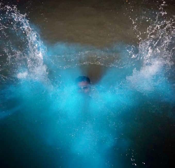 Falmouth: Luminous Lagoon Night Experience - Why Jamaica’s Luminous Lagoon glows after dark
