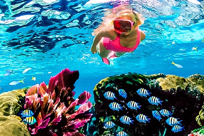 Family Fun-Snorkeling with Lunch Stop from Montego Bay - From pickup to speedboat: how the timing really works