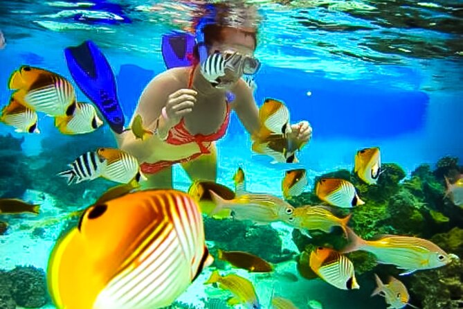 Family Fun-Snorkeling with Lunch Stop from Montego Bay - The reef swim: what 60 minutes in Montego Bay feels like