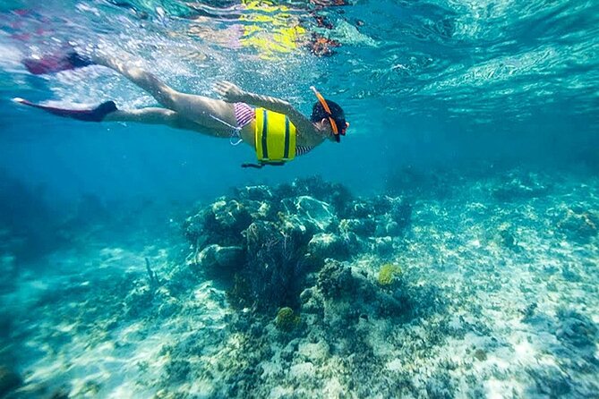 Family Fun-Snorkeling with Lunch Stop from Montego Bay - Lunch stop: how the meal works and how to use it well