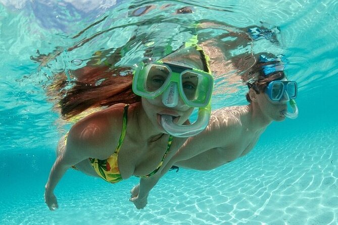 Family Fun-Snorkeling with Lunch Stop from Montego Bay - Price and value: is $110 per person a smart buy?