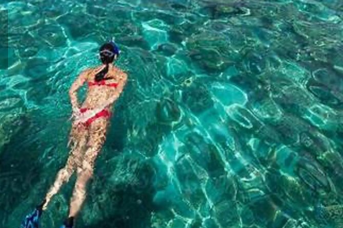 Family Fun-Snorkeling with Lunch Stop from Montego Bay - Should you book this Montego Bay snorkeling tour with a lunch stop?