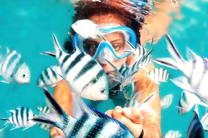 Family Fun-Snorkeling with Lunch Stop from Montego Bay - A pre-water lesson and gear that takes the guesswork out