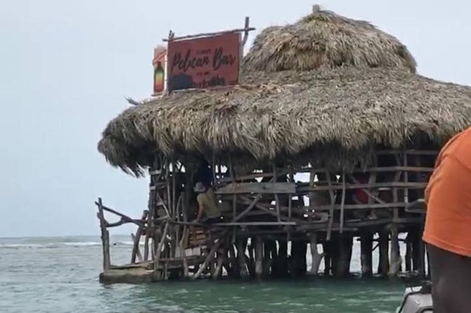 Floyd's Pelican Ocean Bar Private Tour with Transportation - South Coast views: what you’ll actually see from the car
