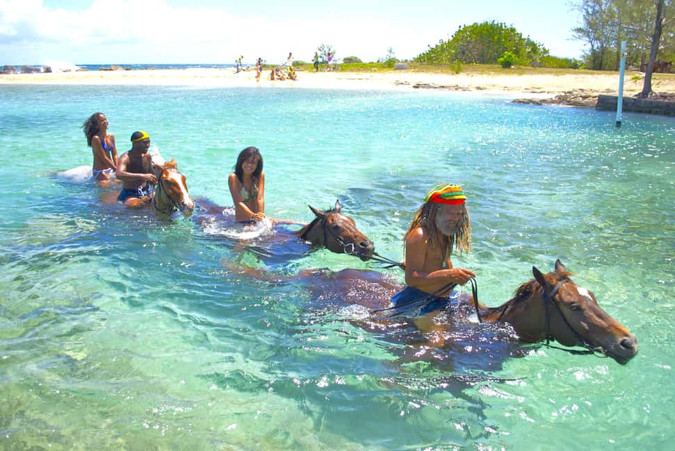 From Falmouth: Horseback Ride and Swim Beach Trip - From port or hotel to Sand N Saddle: the ride-out that sets the tone