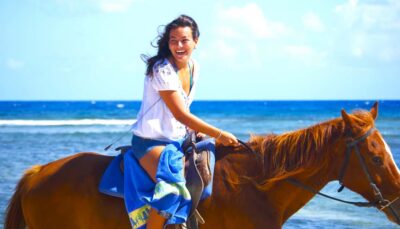 From Falmouth: Horseback Ride and Swim Beach Trip - The safety intro: what you’ll do before the horses move