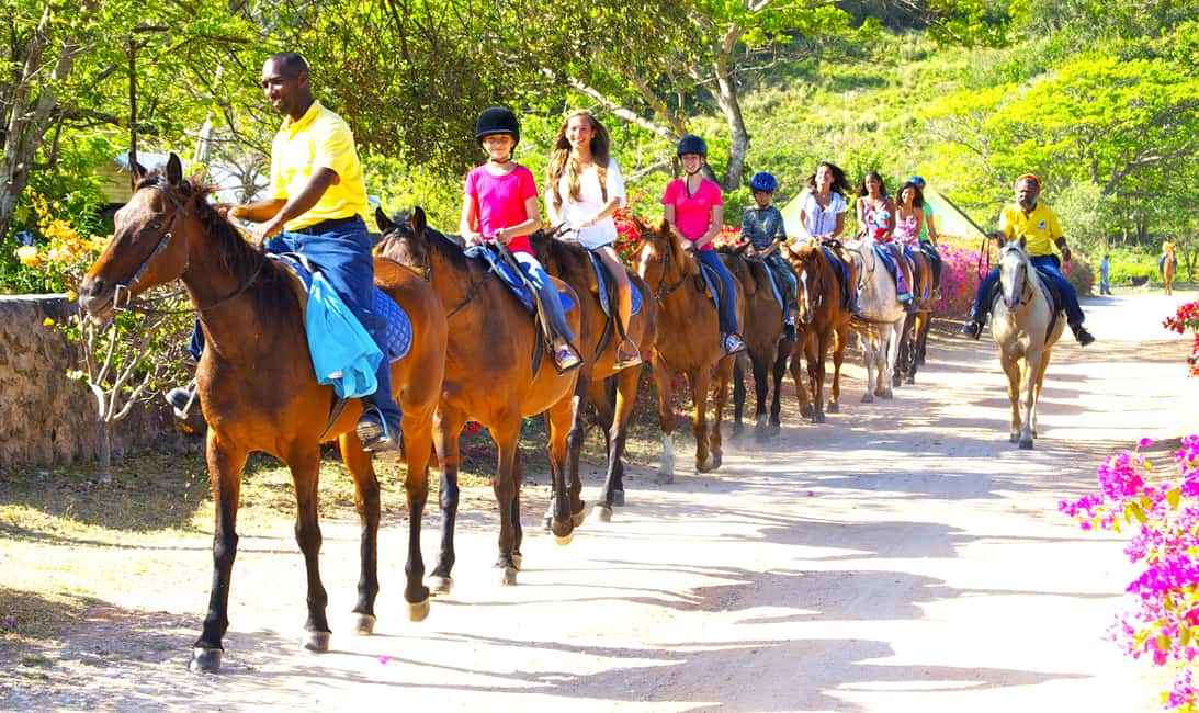 From Falmouth: Horseback Ride and Swim Beach Trip - What to bring (so the day feels easy)