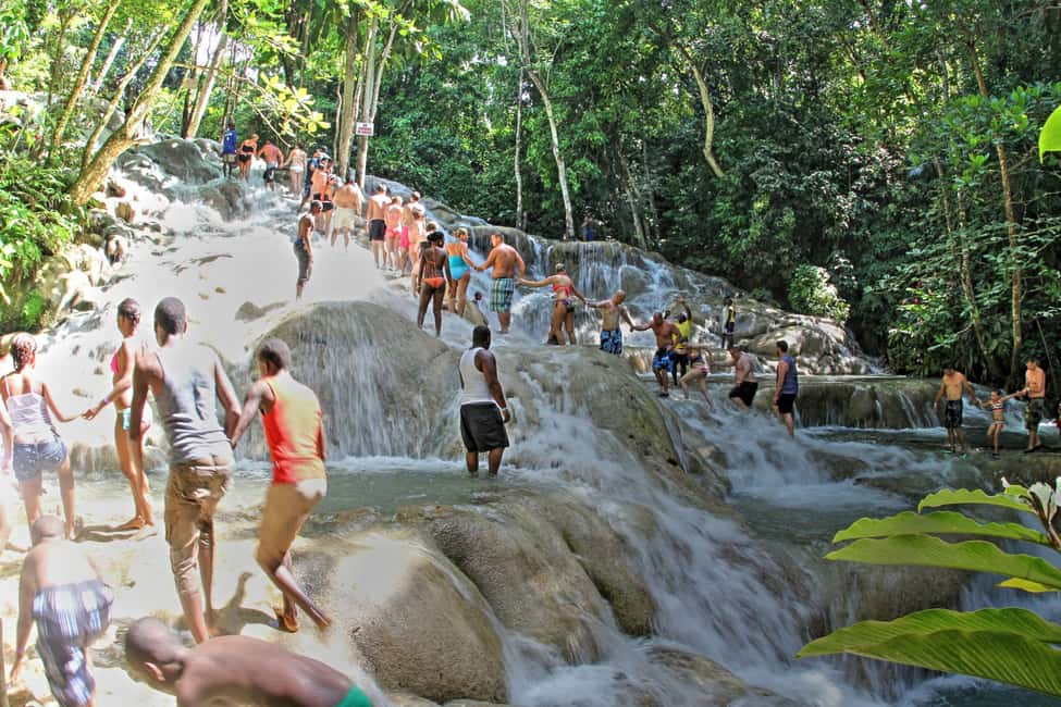 From Montego Bay: Dunn’s River Falls Experience - Key things to know before you climb Dunn’s River Falls