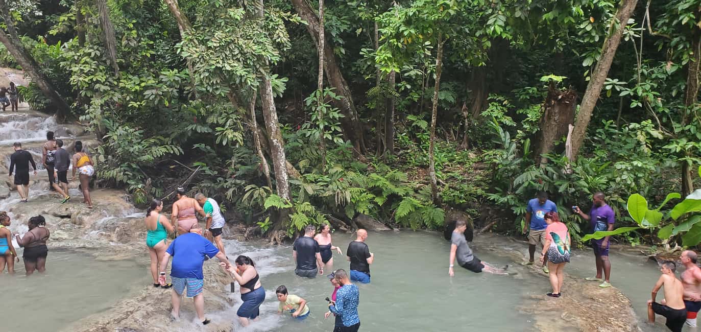 From Montego Bay: Dunn’s River Falls Experience - Optional zip-lining: fun add-on, but plan your energy
