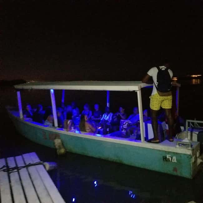 From Montego Bay: Luminous Lagoon Boat Tour with Transfer - Key Things I Think You’ll Notice