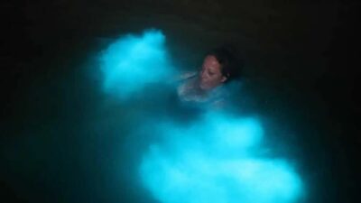 From Montego Bay: Luminous Lagoon Boat Tour with Transfer - Montego Bay Transfer and Start Time: How the Evening Gets Rolling