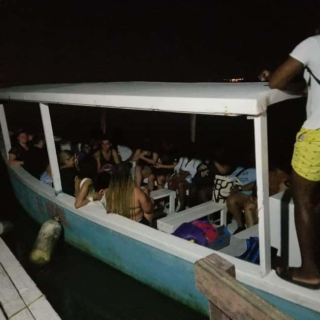 From Montego Bay: Luminous Lagoon Boat Tour with Transfer - The Science Moment: Dinoflagellates in Plain Language