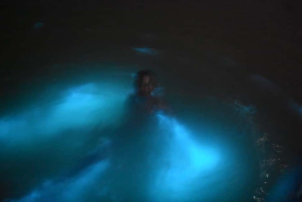 From Montego Bay: Luminous Lagoon Night Tour - The 3-Hour Flow: From Rock Wharf Meeting Point to Glow Time