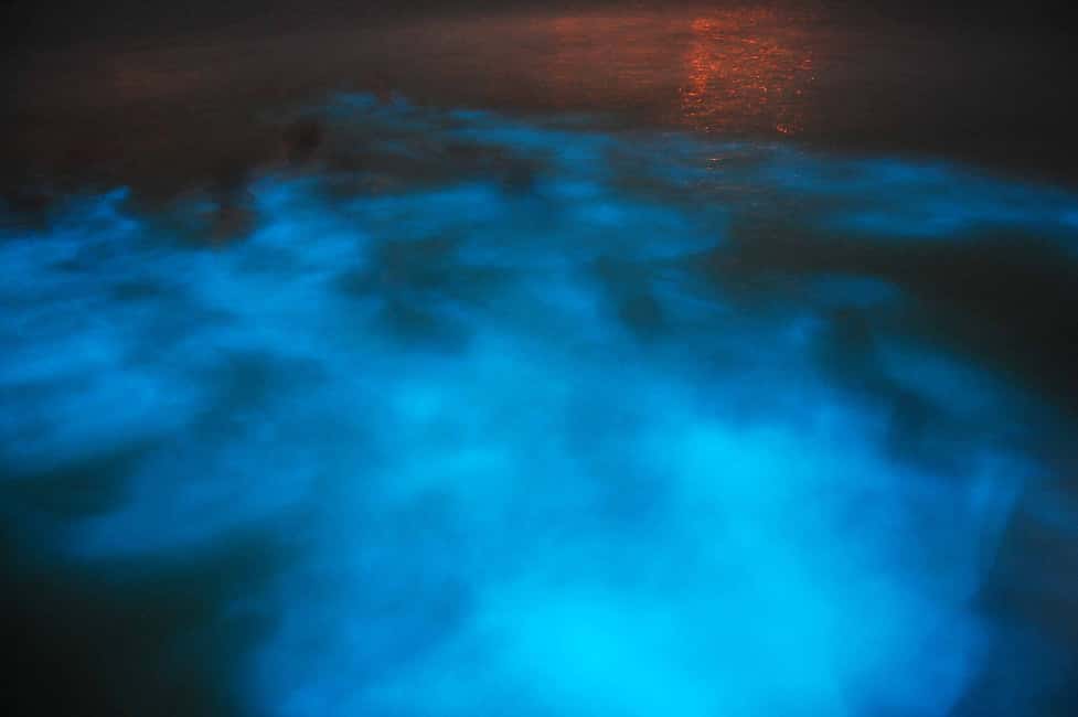 From Montego Bay: Luminous Lagoon Nighttime Boat Tour - Where You Go: Montego Bay to Falmouth and the Luminous Lagoon