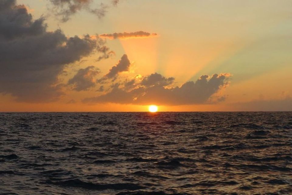 From Montego Bay: Negril Beach and Rick's Café Day Trip - Timing, Pacing, and Comfort: What to Plan For